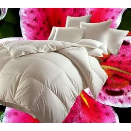 Betten Hofmann Canada Kassetten Daunenbett 4x6 155x220 1200 g Daunendecke 100% neue Daunen - Weiß
