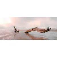 Art for the home - Leinwandbild - Strand Holz - Beige Textil, rechteckig, 100x40x3 cm