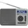 Aiwa RD-40DAB (DAB+, FM), Radio, Silber.