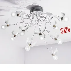 Birdie's Nest LED
