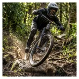RockShox Psylo Gold Isolator RC 29"Boost,15x110mm,150mm,sw,44offset,DA