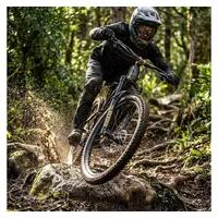 RockShox Psylo Gold Isolator RC 29"Boost,15x110mm,150mm,sw,44offset,DA