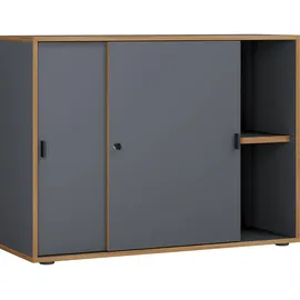 VCM Salia Aktenschrank 100 x 37 x 74 cm grau