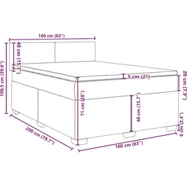 vidaXL Boxspringbett 160 x 200 cm Schwarz