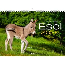 Heel Esel Kalender 2026