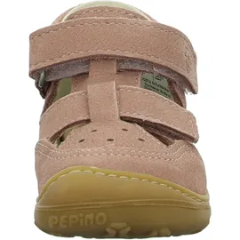 Pepino Eni Rosa 24