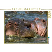 Calvendo Flusspferde – Revierkampf 1000 Teile Puzzle quer