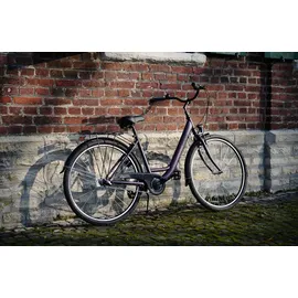 Prophete Geniesser 100 28 Zoll RH 46 cm Damen Dark Purple matt
