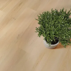 Joka Design 340 à Mellow Oak 2880 | Klebe-Vinylboden