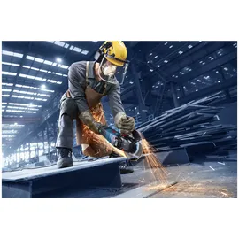 Bosch EXWS30-230PB für 230 mm