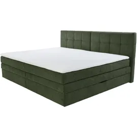 Jockenhöfer Casa Grande 240 x 215 cm Grün