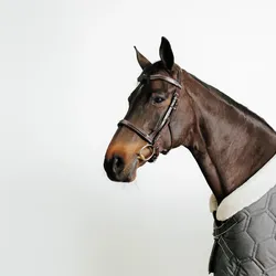 Trense Leder Pferd/Pony - 900 dunkelbraun WARMBLUT