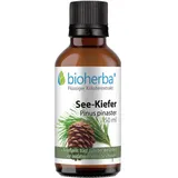 Bioherba See-Kiefer Pinus pinaster Tropfen 50 ml