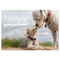 Calvendo Hunde Spruchkalender (Tischkalender 2026 DIN A5 quer), CALVENDO