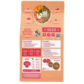Wow Minis Adult Lachs 1 kg
