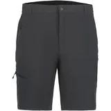 ICEPEAK Berwyn Herren Outdoorhose, Berwin 48