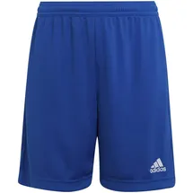 adidas Entrada 22 Shorts Kinder - 116