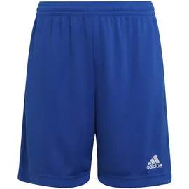 adidas Entrada 22 Shorts Kinder - 116