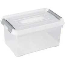 Curver Aufbewahrungsbox HANDY 29,4 x 19,4 x 15 cm 1-tlg. transparent, silber