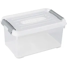 Curver Aufbewahrungsbox HANDY 29,4 x 19,4 x 15 cm 1-tlg. transparent, silber