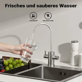 Naturewater NW-BR10A 1 Stufen Wasserfilter, 5 μ, 26,16 mm (3/4") Filtereinsatz, Ø60 mm PP Kartusche, Filter Wandhalterung, Filterschlüssel, Sedimentfilter