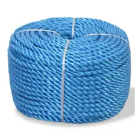 VidaXL Polypropylenseil 16 mm 250 m Blau