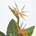 Homescapes Kunstpflanze Paradiesvogelblume 120 cm,