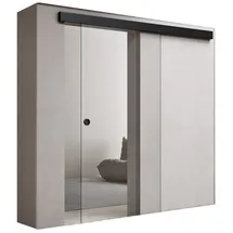 doporro Glasschiebetür rechts 77,5 x 205 cm Schwarz/Transparent