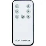 Busch-Jaeger Fernbedienung 6179 2 St.