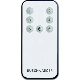 Busch-Jaeger Fernbedienung 6179 2 St.