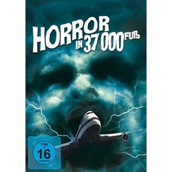 Horror in 37.000 Fuß