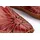 PIKOLINOS Slipper für Damen, rot, 38 EU