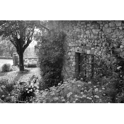 Fototapete PAPERMOON "Garten Schwarz & Weiß", schwarz (schwarz, weiß), B:3,50m L:2,60m, Vlies, Tapeten