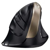 Genius Ergo 8250S Schwarz/Gold