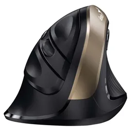 Genius Ergo 8250S Schwarz/Gold