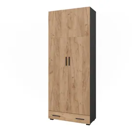 Vicco Mehrzweckschrank Ingo, Anthrazit/Goldkraft Eiche, 80 x 201.2 cm mit Schubladenmodul (80 x 37 x 201.20 cm)