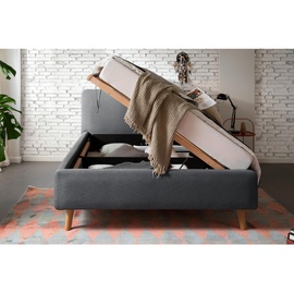Meise Möbel Polsterbett Mattis mit Bettkasten grau ¦ Maße cm B: 160 H: 105