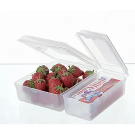 Rotho Aufbewahrungsbox 1 x 1,05 l 1-tlg. blau