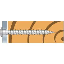 SIMPSON STRONG-TIE GmbH Simpson Schrauben CSA 5,0x50 DECP (250/Box)