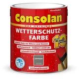 Consolan Wetterschutzfarbe Galeriegrau