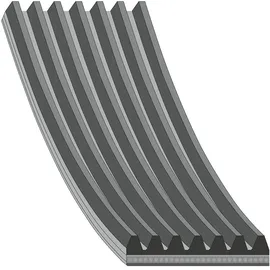 FEBI Keilrippenriemen 1257 mm