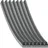 FEBI Keilrippenriemen 1257 mm