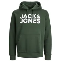 JACK & JONES Kapuzensweatshirt mit Logo-Brustprint in Grün-M