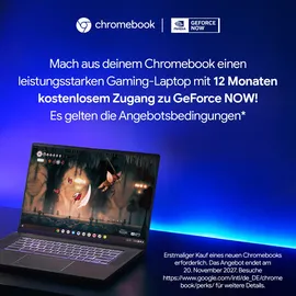 Lenovo Chromebook 2-in-1 14ITN10 Intel Core i3-N355 8 GB RAM 256 GB SSD Cosmic Blue
