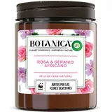 Airwick Botanica Vela Rosa - 205 g