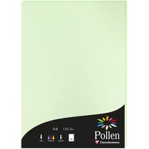 Clairefontaine 4205C Packung mit 50 Karten Pollen 120g, DIN A4, 21 x 29,7cm, Grün