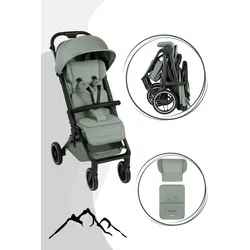 ABC Design Ping 3 Trekking Buggy - Reisebuggy ab 6 Monaten bis 22 kg, Farbe Kinderwagen: Falcon