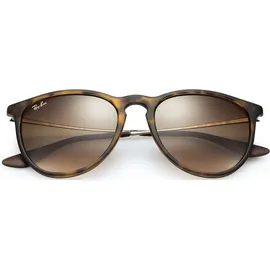 Ray-Ban Erika Color Mix Rb4171