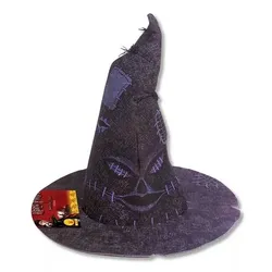 Zauberhut von Harry Potter, Sprechender Hut