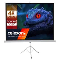 Celexon basic mobile